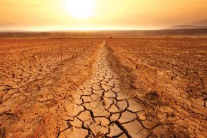 El Nino tang cuong do Viet Nam doi mat nguy co nang nong va thien tai cuc doan 1