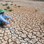 WMO phat di canh bao moi ve anh huong cua El Nino 1