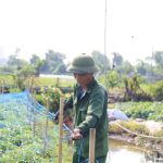 Bien phap bao ve cay trong trong dot nang nong keo dai 2