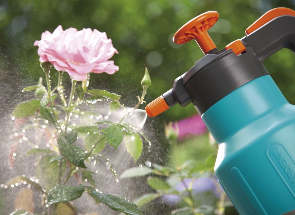 Biện pháp bảo vệ cây trồng trong đợt nắng nóng kéo dài 6 Cay canh va cay trong trong chau