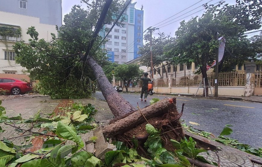 Bão số 4 chậm hướng đi, biển Quảng Ninh và Hải Phòng có nguy cơ gió mạnh 3 Bao so 4 cham huong di bien Quang Ninh va Hai Phong co nguy co gio manh 1 1