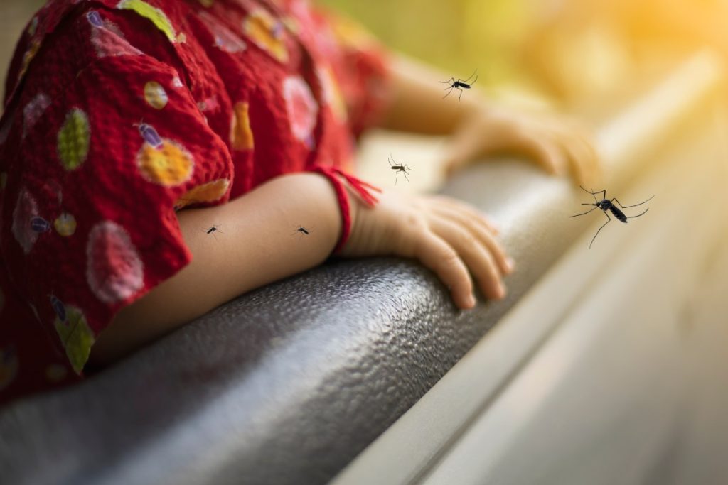 Cách phòng sốt xuất huyết khi mưa kéo dài 2 Cach phong sot xuat huyet khi mua keo dai 1