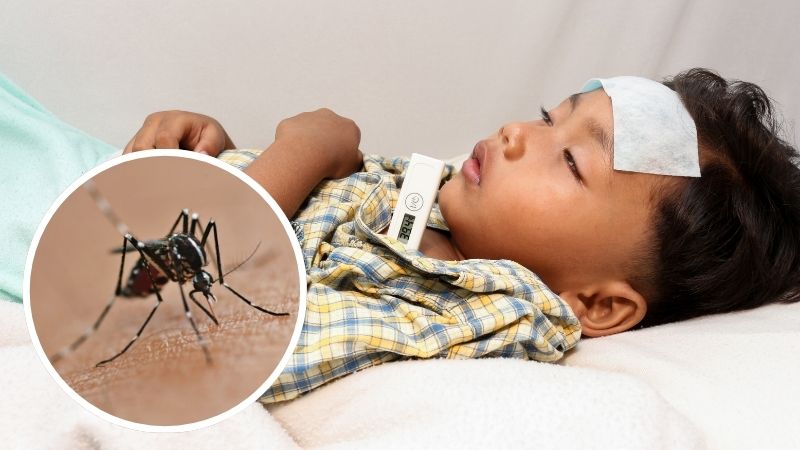 Cách phòng sốt xuất huyết khi mưa kéo dài 5 Cach phong sot xuat huyet khi mua keo dai 1
