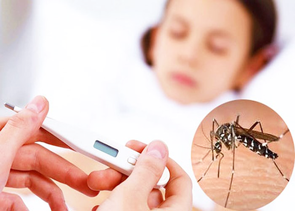 Cách phòng sốt xuất huyết khi mưa kéo dài 1 Cach phong sot xuat huyet khi mua keo dai 1