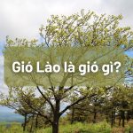Gio Lao hinh thanh nhu the nao va anh huong ra sao 1