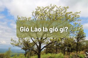 Gio Lao hinh thanh nhu the nao va anh huong ra sao 1