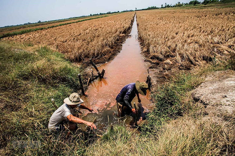 Hạn hán khí tượng, nông nghiệp và thủy văn khác nhau thế nào? 4 Han han khi tuong nong nghiep va thuy van khac nhau the nao 2
