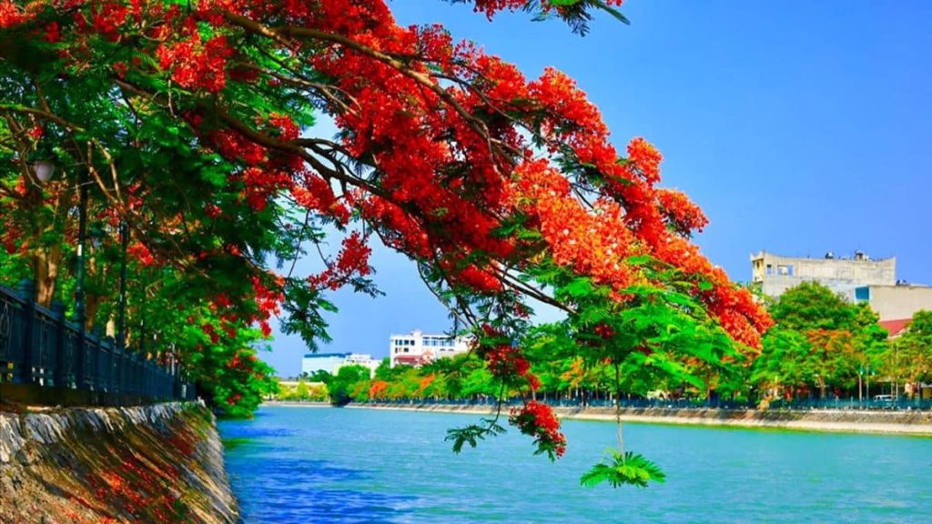 Thời tiết Hải Phòng hôm nay: Nhiệt độ, lượng mưa và cảnh báo cần lưu ý 3 Nhiet do Hai Phong thay doi ra sao