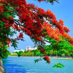 Nhiet do Hai Phong thay doi ra sao