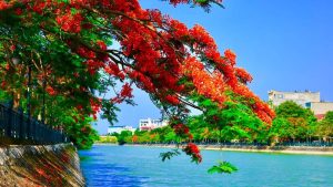 Nhiet do Hai Phong thay doi ra sao