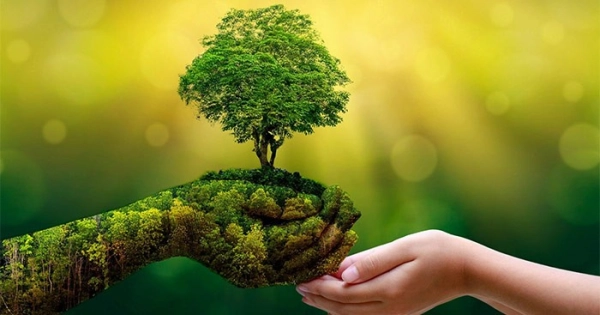 Hạn hán khí tượng, nông nghiệp và thủy văn khác nhau thế nào? 6 trong cay bao ve rung.jpg
