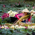 Du bao thoi tiet Nam Bo hom nay Dien bien noi bat theo tung thoi diem 1