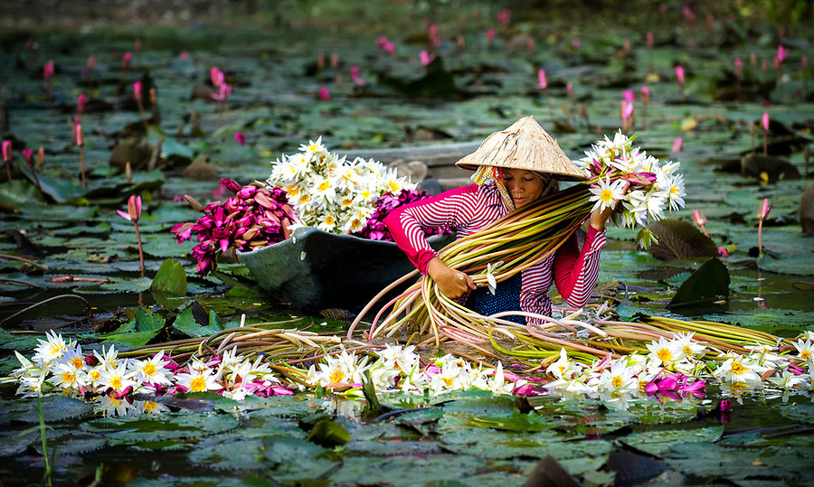 Dự báo thời tiết Nam Bộ hôm nay: Diễn biến nổi bật theo từng thời điểm 1 Du bao thoi tiet Nam Bo hom nay Dien bien noi bat theo tung thoi diem 1