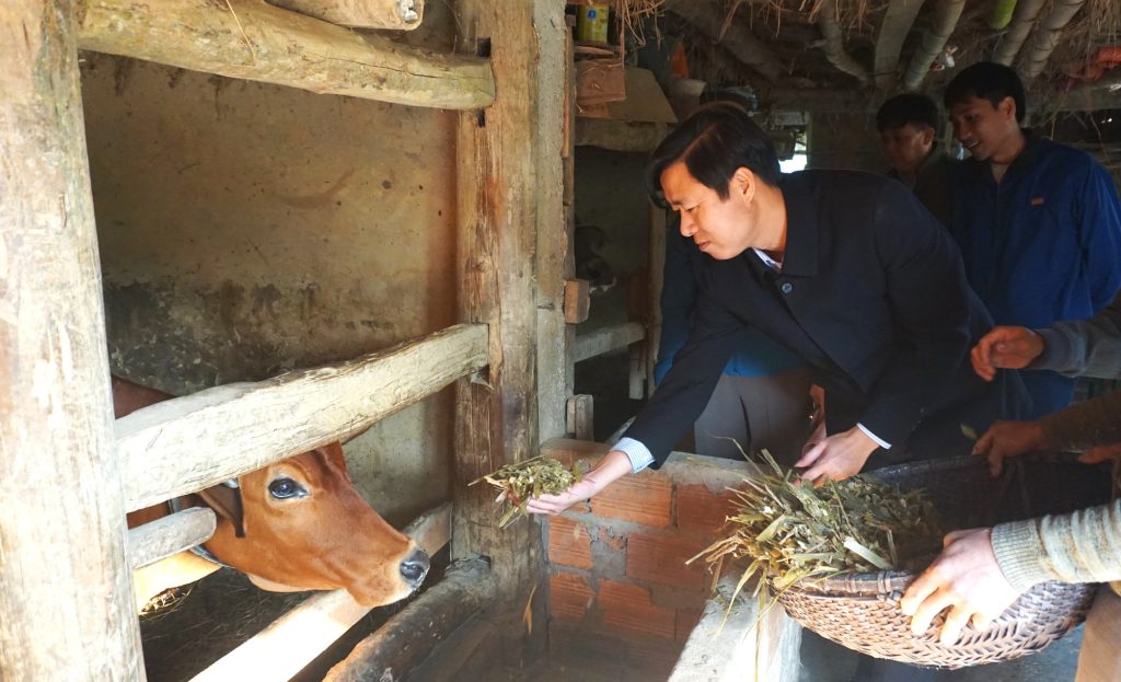 Cách giữ ấm vật nuôi trong những ngày rét đậm 3 Phong benh vat nuoi trong nhung ngay ret
