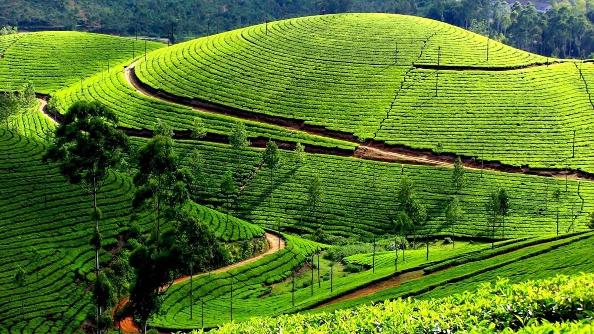 Thời tiết Nghệ An hôm nay: Nhiệt độ, lượng mưa và cảnh báo cần lưu ý 3 Thoi tiet Nghe An hom nay Nhiet do luong mua va canh bao can luu y 3