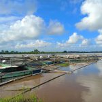 Thoi tiet thay doi anh huong the nao den ao nuoi thuy san 1