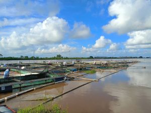 Thoi tiet thay doi anh huong the nao den ao nuoi thuy san 1