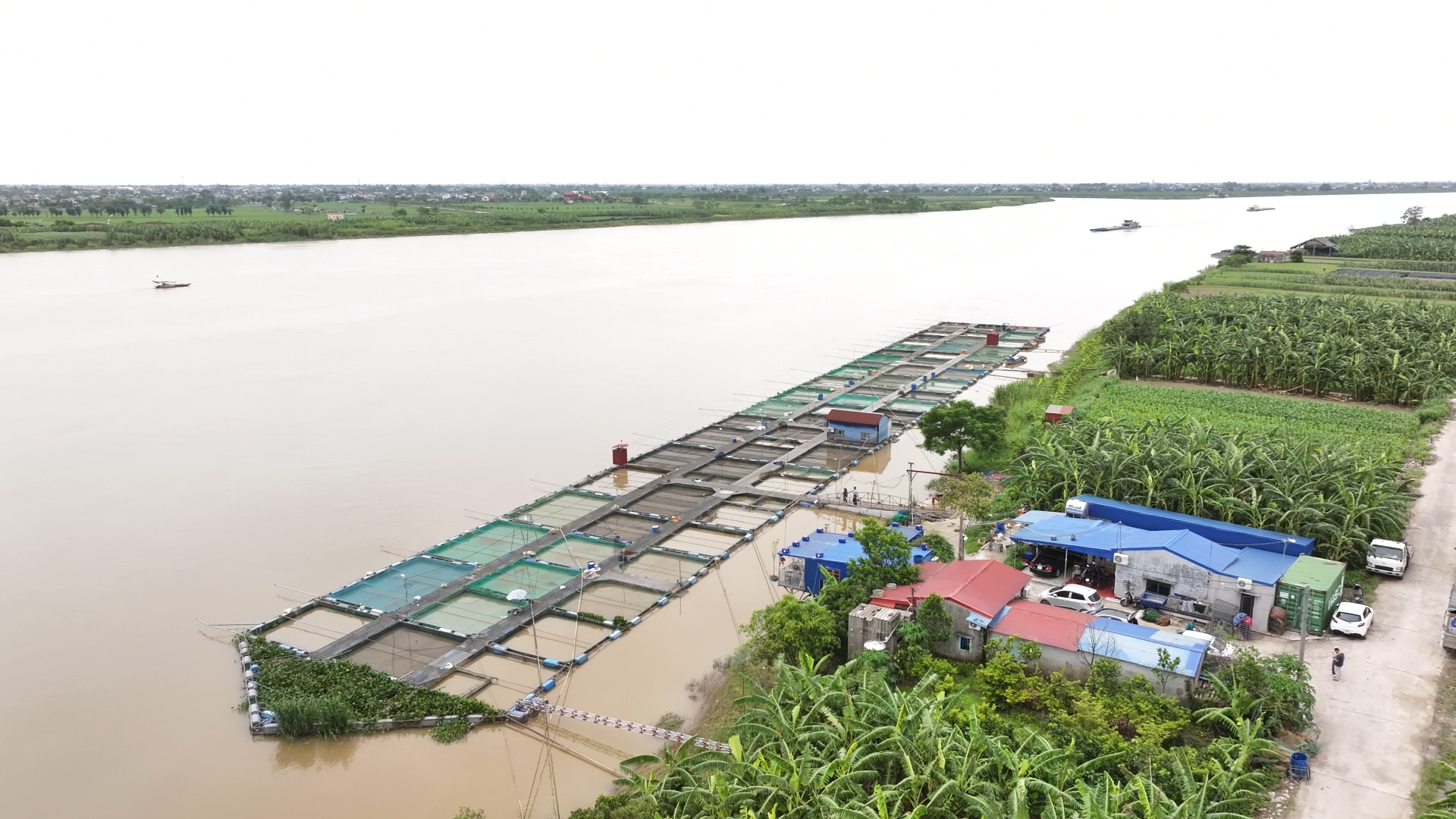 Thời tiết thay đổi ảnh hưởng thế nào đến ao nuôi thủy sản? 5 Thoi tiet thay doi anh huong the nao den ao nuoi thuy san 1