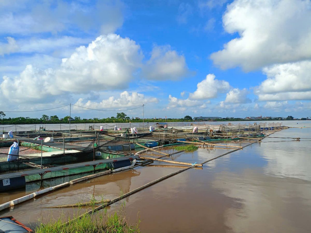 Thời tiết thay đổi ảnh hưởng thế nào đến ao nuôi thủy sản? 1 Thoi tiet thay doi anh huong the nao den ao nuoi thuy san 1