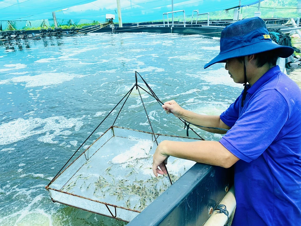 Thời tiết thay đổi ảnh hưởng thế nào đến ao nuôi thủy sản? 3 Thoi tiet thay doi anh huong the nao den ao nuoi thuy san