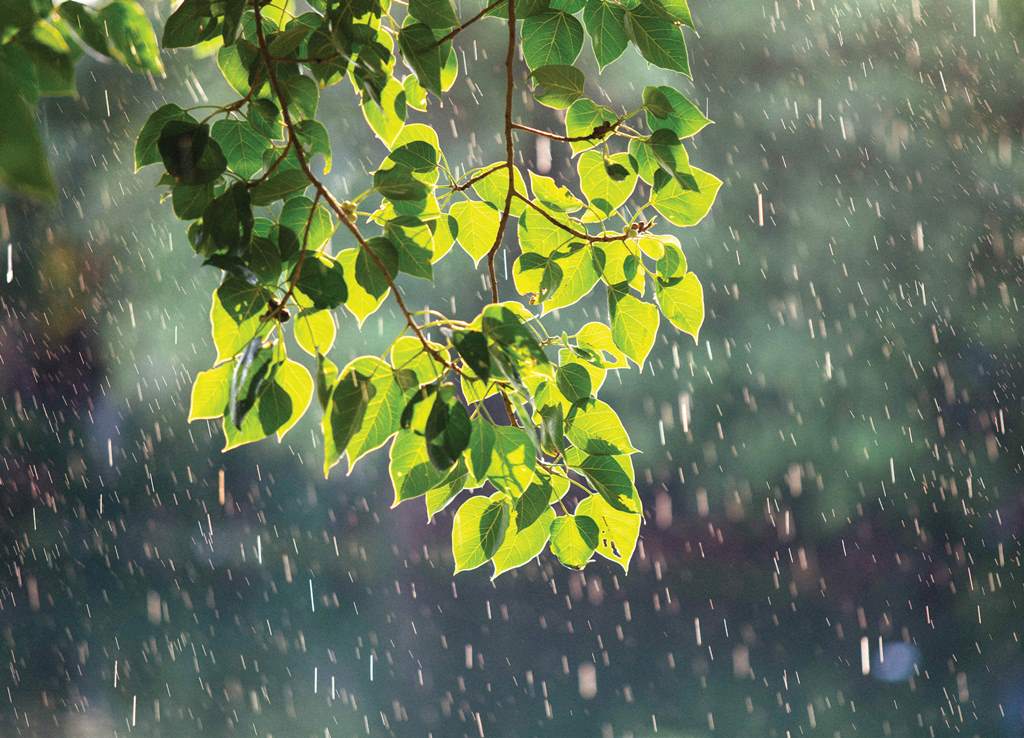 Vì sao trời đang nắng có thể chuyển sang mưa dông rất nhanh? 1 Vi sao troi dang nang co the chuyen sang mua dong rat nhanh 1