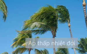 Ap thap nhiet doi khac bao o diem nao 1