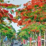 Du bao thoi tiet Hai Phong 7 ngay toi Ngay mua ngay nang va xu huong nhiet do 1