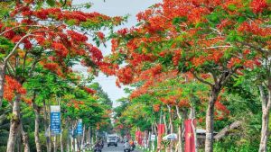 Du bao thoi tiet Hai Phong 7 ngay toi Ngay mua ngay nang va xu huong nhiet do 1