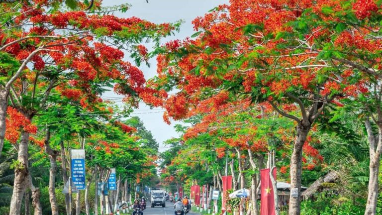 Du bao thoi tiet Hai Phong 7 ngay toi Ngay mua ngay nang va xu huong nhiet do 1
